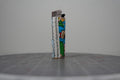 Hand-collaged lighter made from Disney comic book paper with cut-paper text reading "regularly challenge the gender binary"
